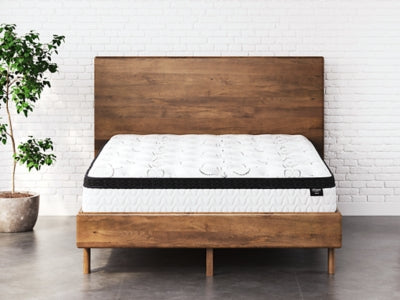 Chime 12 Inch Hybrid Mattress in a Box - homePLUS (Binghamton, NY)