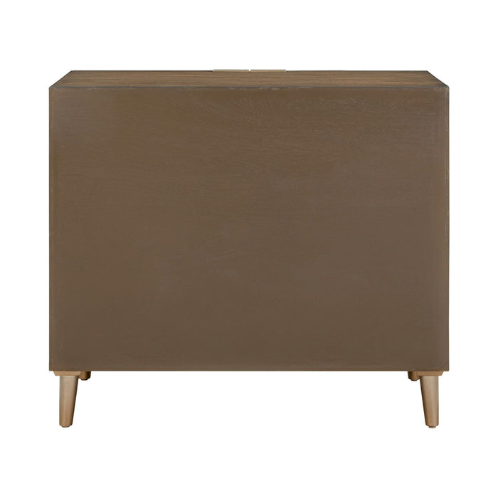 Eden 2 Door Accent Cabinet image