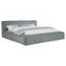 Wilshire Panel Platform Bed - homePLUS (Binghamton, NY)