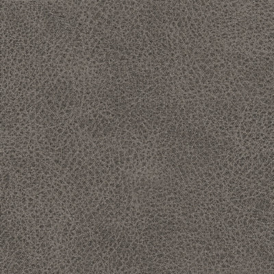 WhipLash Power Reclining Sofa - homePLUS (Binghamton, NY)