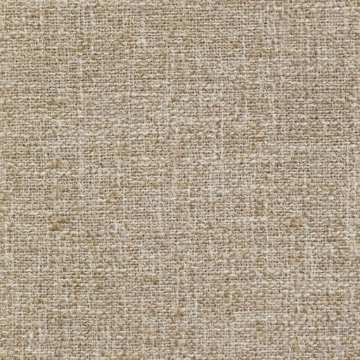 Nora Nathan Ginger Swatch image