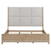 Brentwood Uph Bed image