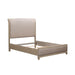 Belmar Queen Upholstered Bed - homePLUS (Binghamton, NY)