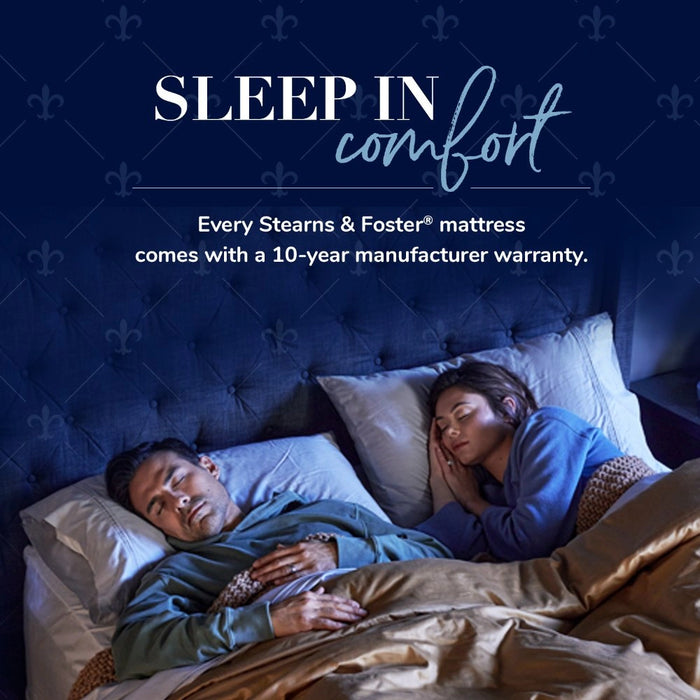 Stearns & Foster Studio Pillow