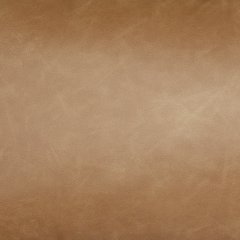 Danvale Pillow (Set of 4) - homePLUS (Binghamton, NY)