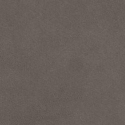 Darcy Recliner - homePLUS (Binghamton, NY)