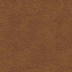 Carianna Sofa - homePLUS (Binghamton, NY)