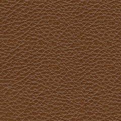 Healy Pier Living Room Set - homePLUS (Binghamton, NY)