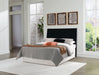 Danziar Bed - homePLUS (Binghamton, NY)