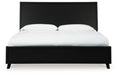 Danziar Bed - homePLUS (Binghamton, NY)