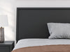 Danziar Bed - homePLUS (Binghamton, NY)