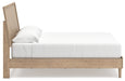 Cielden Bed - homePLUS (Binghamton, NY)