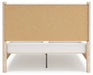 Cadmori Upholstered Bed - homePLUS (Binghamton, NY)
