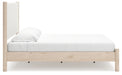 Cadmori Upholstered Bed - homePLUS (Binghamton, NY)