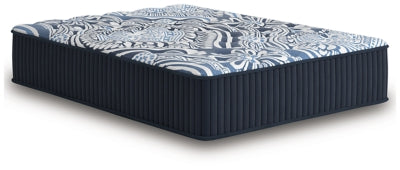 Firm Luxe 2.0 Mattress - homePLUS (Binghamton, NY)