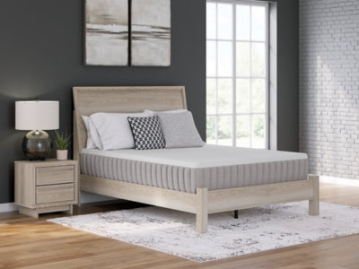 Terra Sleep Medium Mattress - homePLUS (Binghamton, NY)