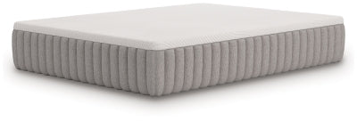 Terra Sleep Soft Mattress - homePLUS (Binghamton, NY)