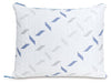 Nectar Classic / Pillow - homePLUS (Binghamton, NY)