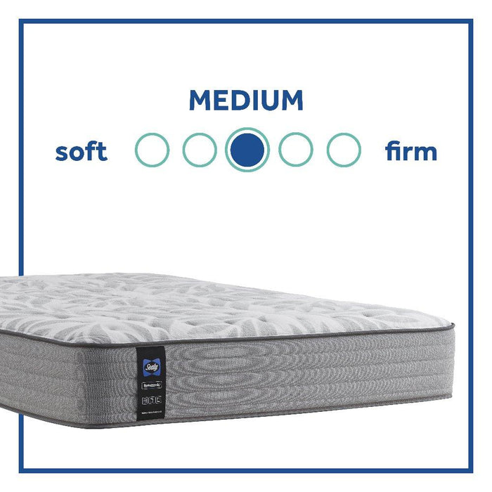 Silver Pine Innerspring Mattress - homePLUS (Binghamton, NY)