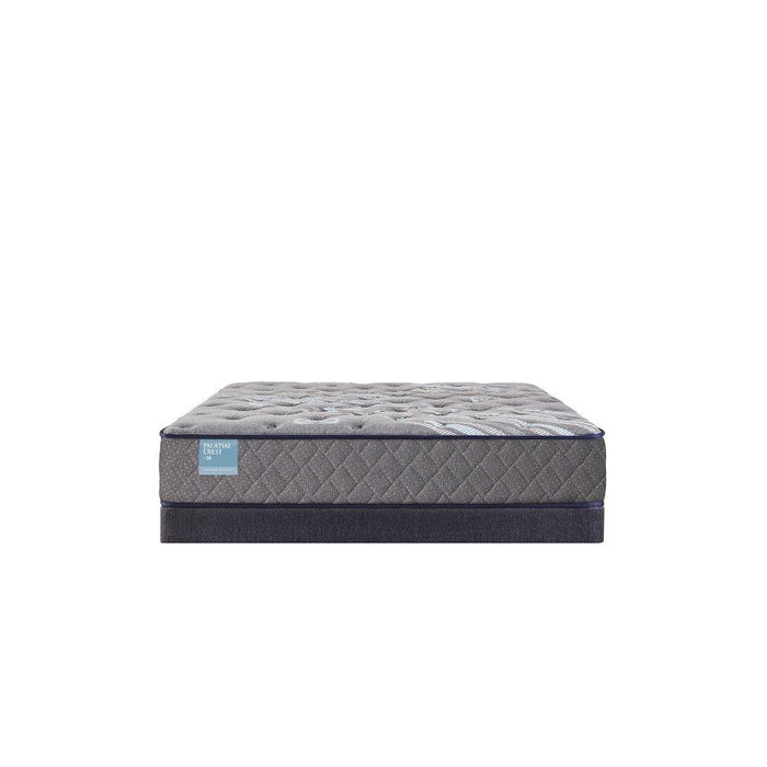 Delacroix Innerspring Mattress - homePLUS (Binghamton, NY)