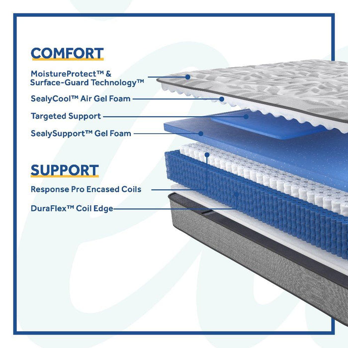 Red Maple Innerspring Mattress - homePLUS (Binghamton, NY)