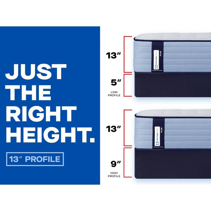 Plainfield Spring Mattress - homePLUS (Binghamton, NY)