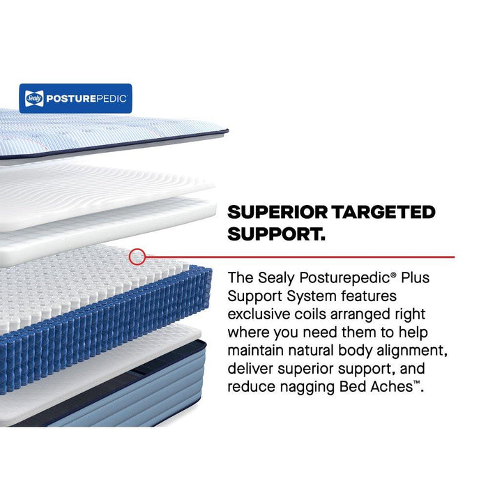 Hartsgrove Spring Mattress - homePLUS (Binghamton, NY)