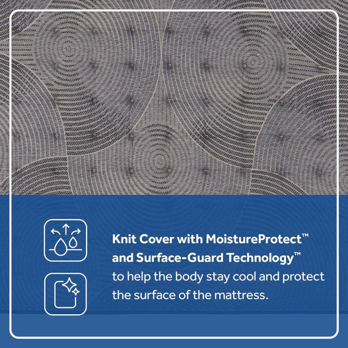 Midnight Bliss Spring Mattress - homePLUS (Binghamton, NY)