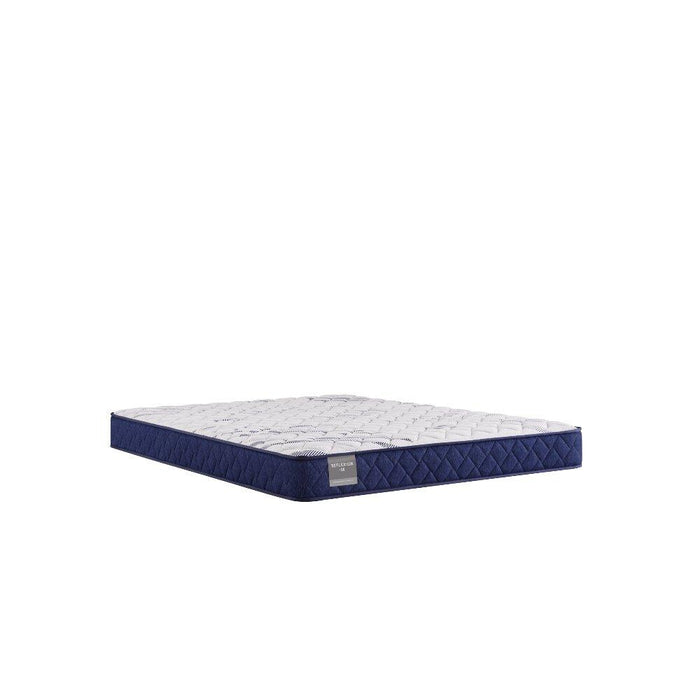 Oconee Foam Mattress - homePLUS (Binghamton, NY)