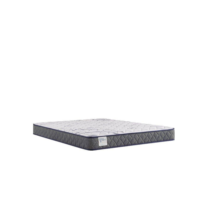 Paisley Foam Mattress - homePLUS (Binghamton, NY)
