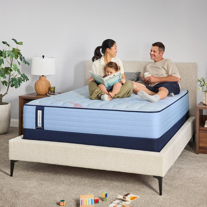 Fayette Spring Mattress - homePLUS (Binghamton, NY)
