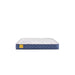 Glacier Park Foam Mattress - homePLUS (Binghamton, NY)
