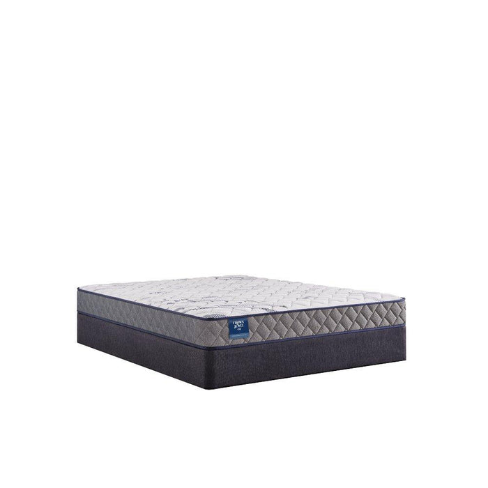 Moon Cove Foam Mattress - homePLUS (Binghamton, NY)