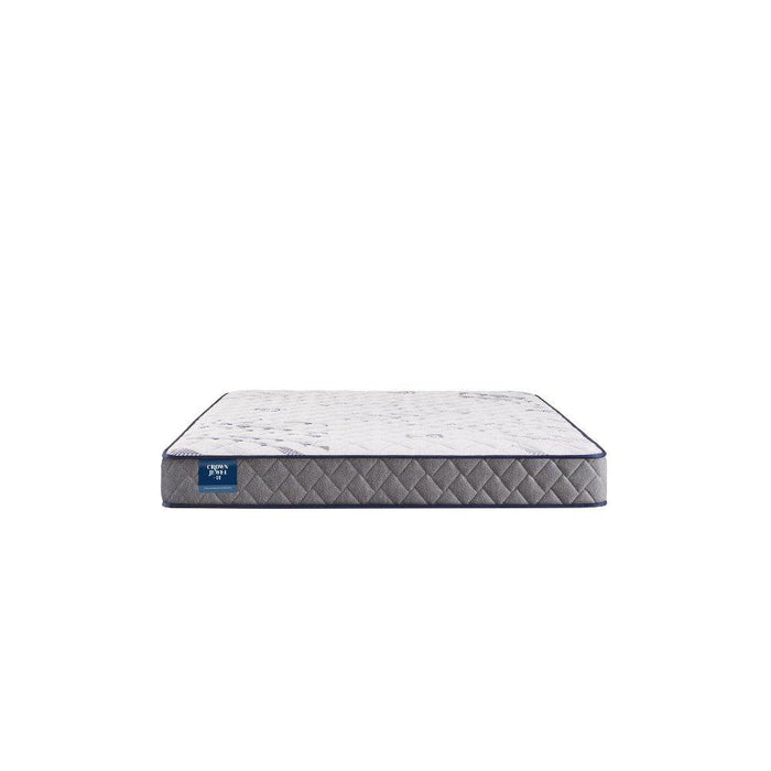 Moon Cove Foam Mattress - homePLUS (Binghamton, NY)