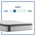 Summer Rose Innerspring Mattress - homePLUS (Binghamton, NY)