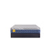 Royal Park Hybrid Mattress - homePLUS (Binghamton, NY)