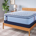 Glenshaw Spring Mattress - homePLUS (Binghamton, NY)