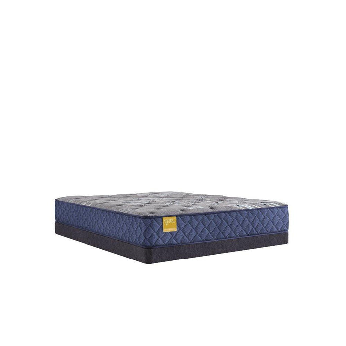 Royal Park Innerspring Mattress - homePLUS (Binghamton, NY)