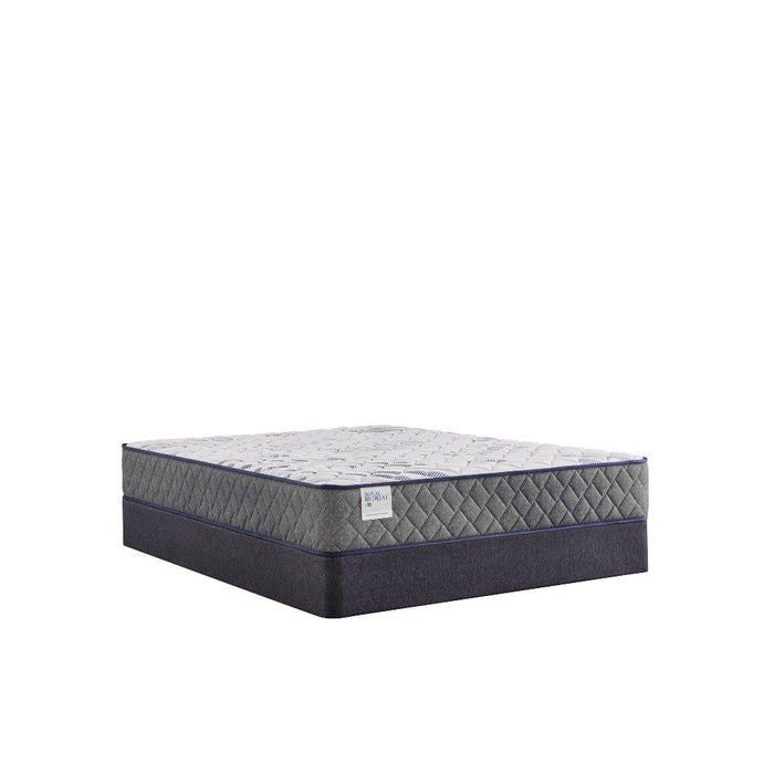 San Diego Innerspring Mattress - homePLUS (Binghamton, NY)