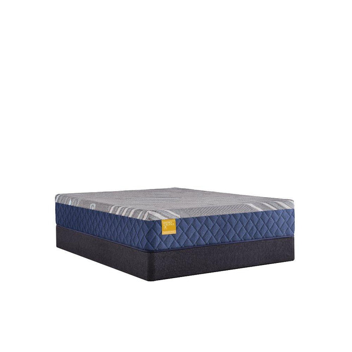 Park Plaza Hybrid Mattress - homePLUS (Binghamton, NY)