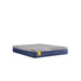 Royal Park Hybid Hybrid Mattress - homePLUS (Binghamton, NY)