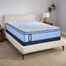 Fayette Spring Mattress - homePLUS (Binghamton, NY)