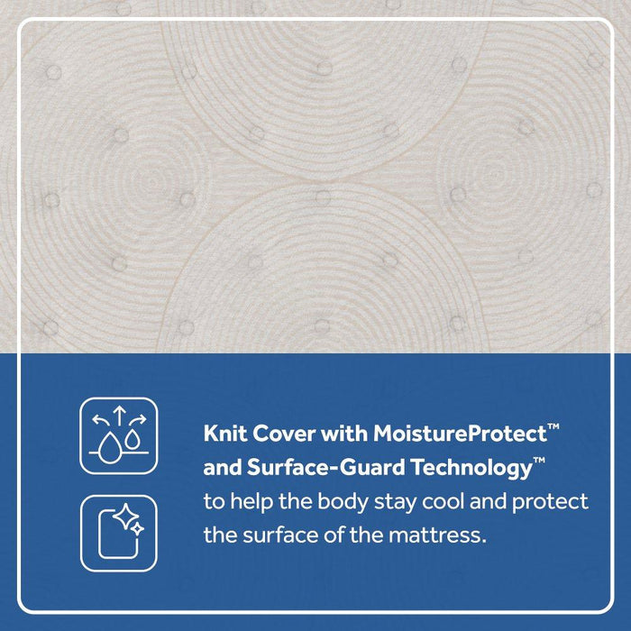 Dream Waves Spring Mattress - homePLUS (Binghamton, NY)