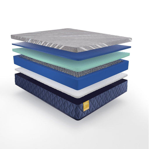 Royal Park Hybid Hybrid Mattress - homePLUS (Binghamton, NY)