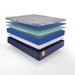 Royal Park Hybid Hybrid Mattress - homePLUS (Binghamton, NY)