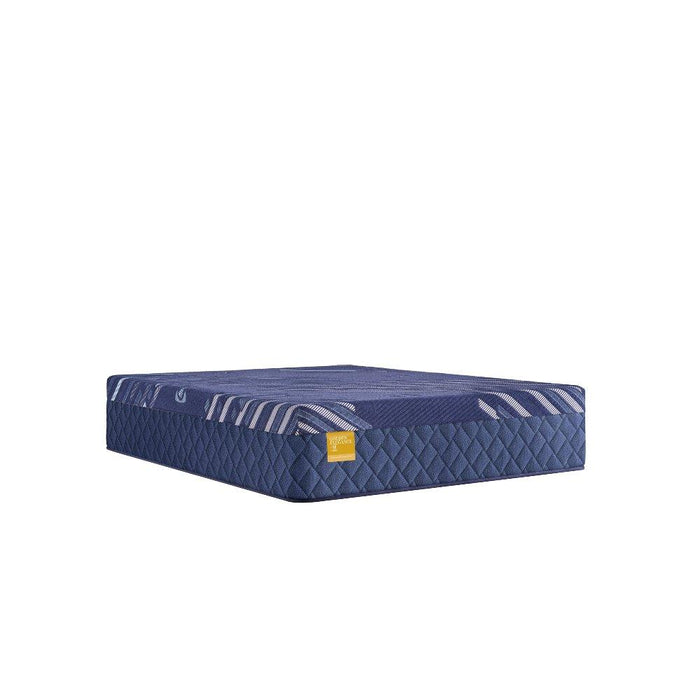 Remmington Hybrid Mattress - homePLUS (Binghamton, NY)