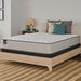 Spring Bloom Innerspring Mattress - homePLUS (Binghamton, NY)