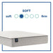 Hayward Innerspring Mattress - homePLUS (Binghamton, NY)