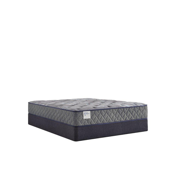 Porter Innerspring Mattress - homePLUS (Binghamton, NY)