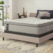 Lavina II Innerspring Mattress - homePLUS (Binghamton, NY)